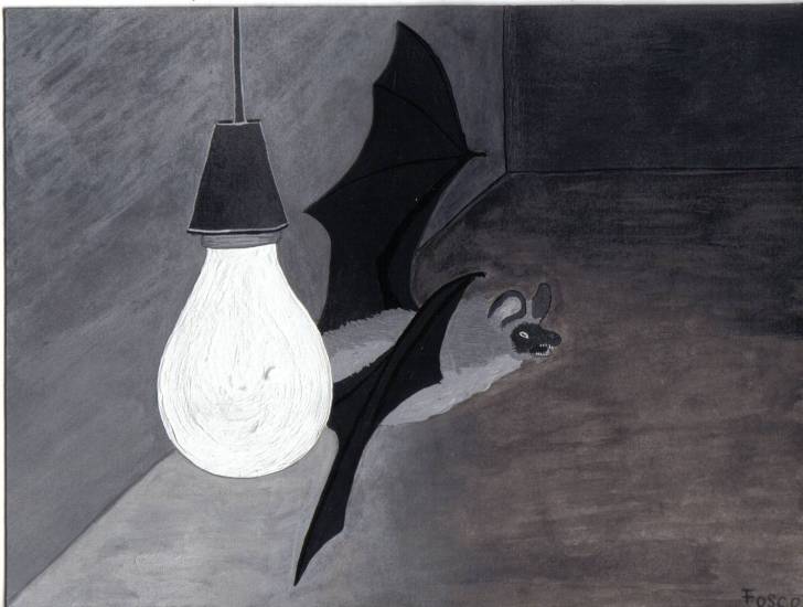 pipistrello